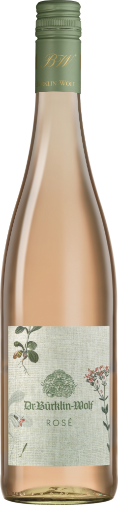 Dr. Bürkling-Wolf Rose (Bio)-Artikelnummer-25578-von-Dr. Bürklin-Wolf