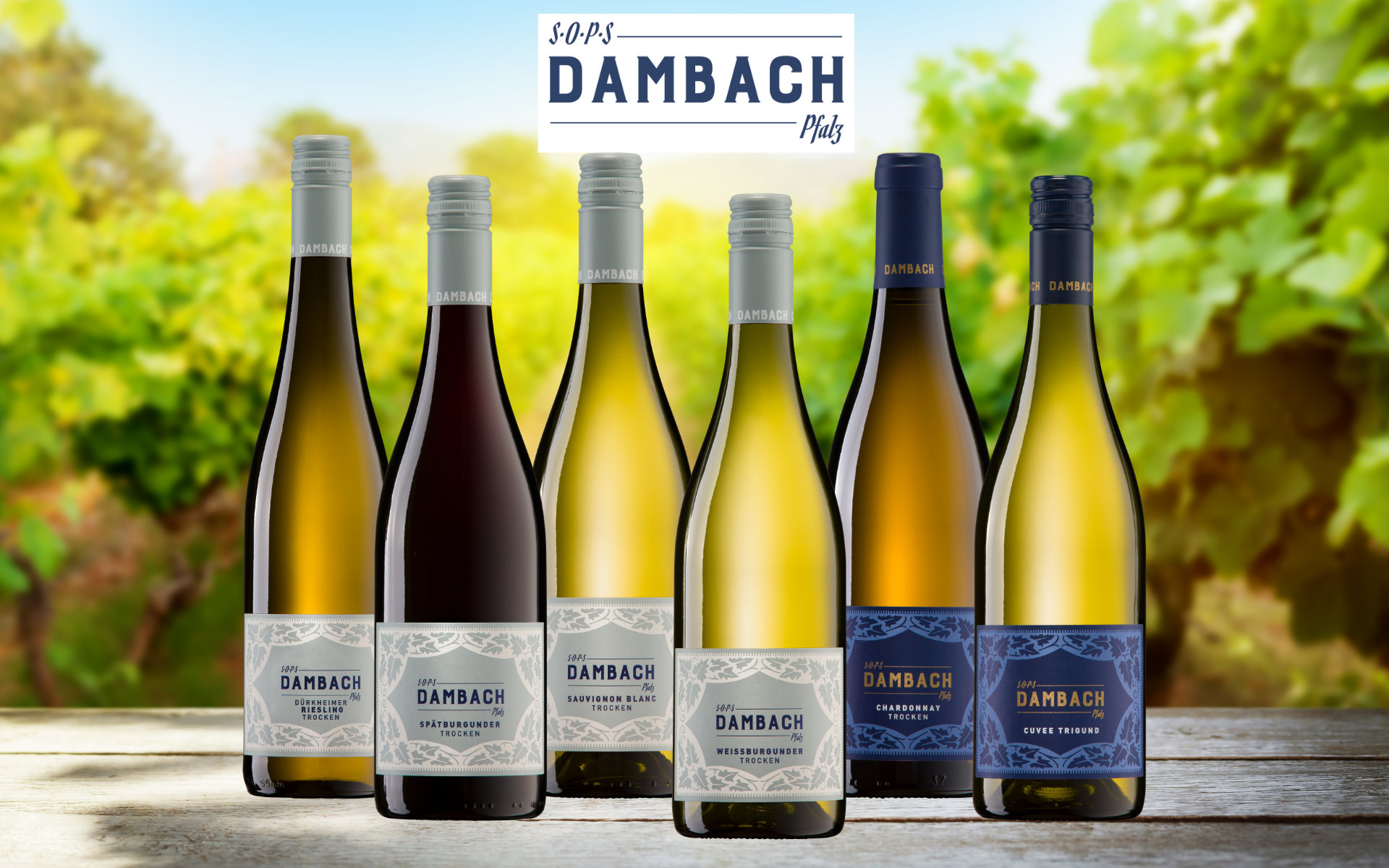 Weingut Dambach Probierset -Artikelnummer-WSS004-von-Weingut Dambach