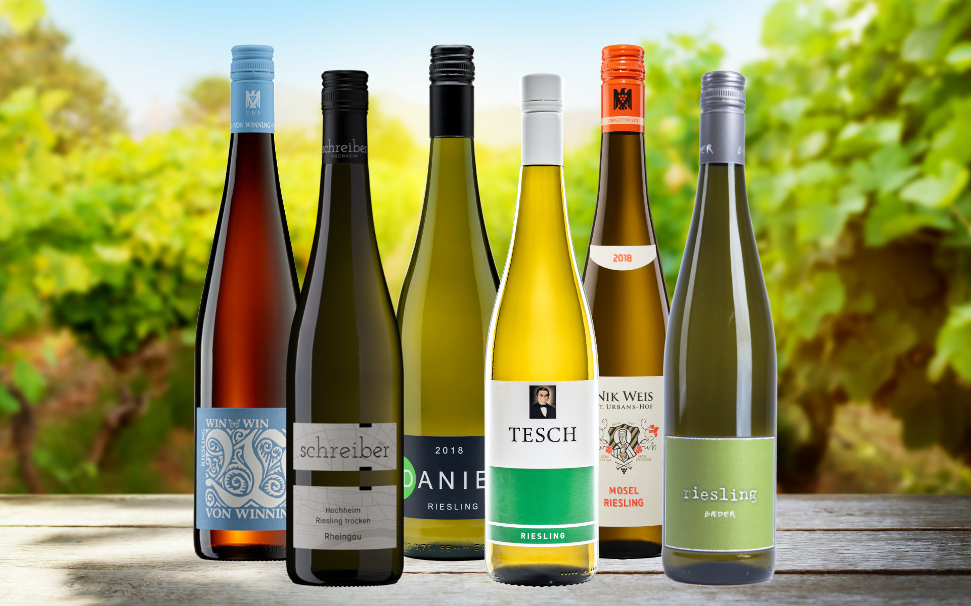 Unsere beliebtesten Riesling Weine aus unterschiedlichen Regionen und Lagen in Deutschland