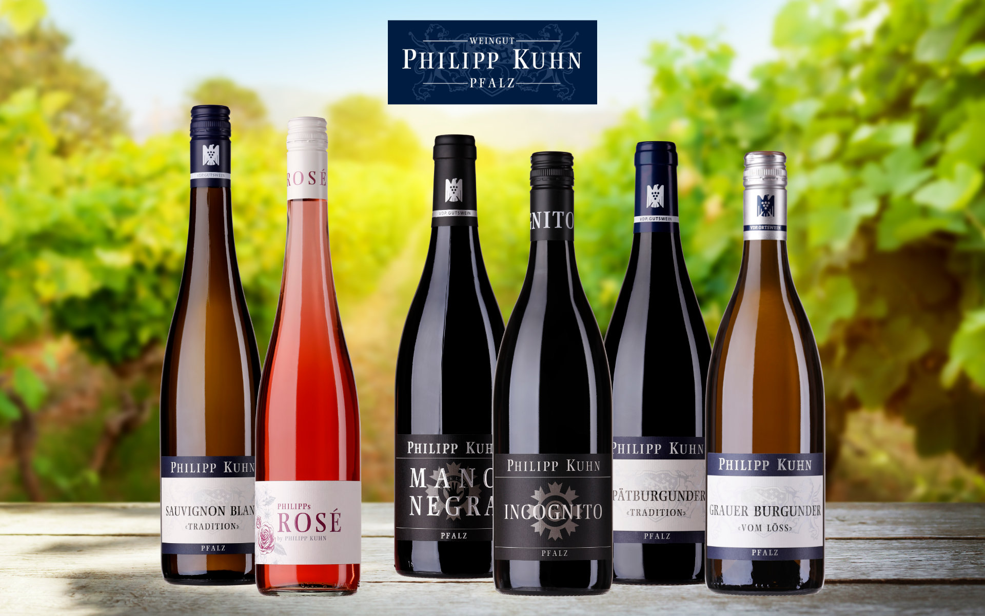 Weingut Philip Kuhn Probierset-Artikelnummer-36000-von-Philipp Kuhn